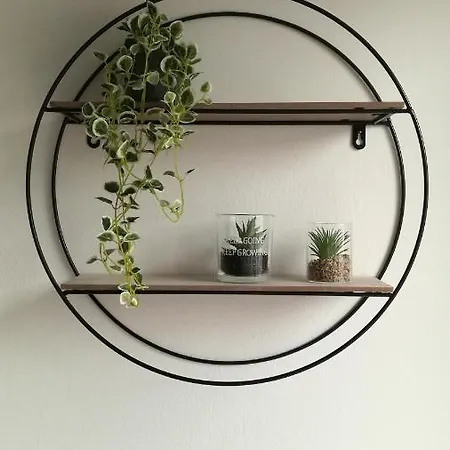 Design N. 41 Trento