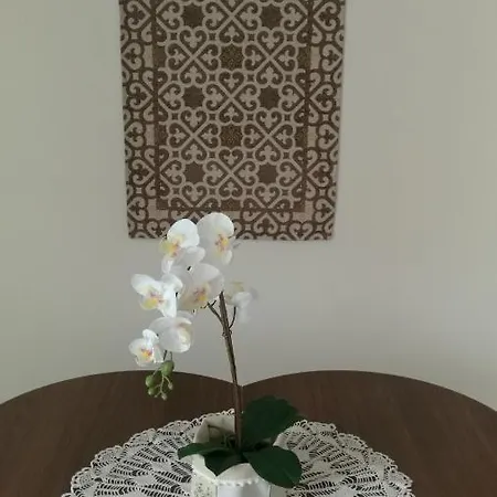 Design N. 41 Trente