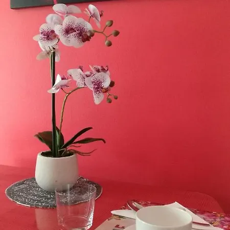Design N. 41 * Trente
