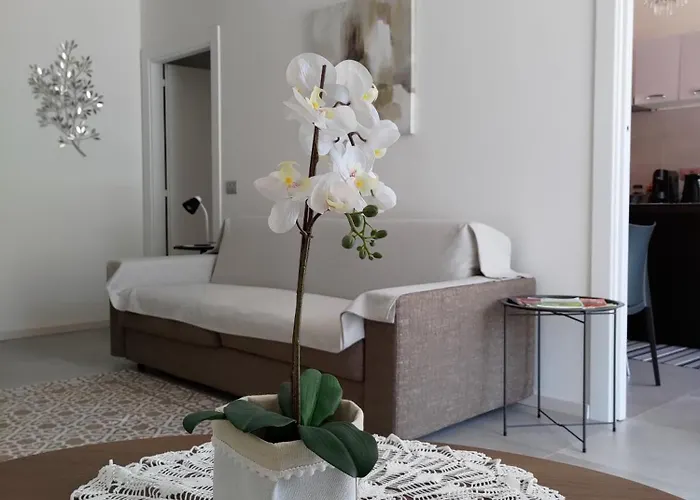 Design N. 41 * Trente